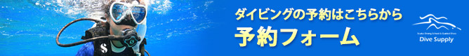 ダイビングの予約はこちらから