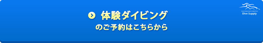 体験ダイビングのご予約はこちらから