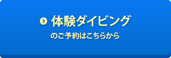 体験ダイビングのご予約はこちらから