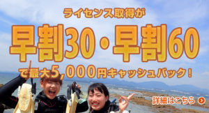 ライセンス取得料金　早割